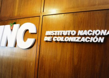 Próximo presidente de Colonización continuará con las políticas ya diseñadas