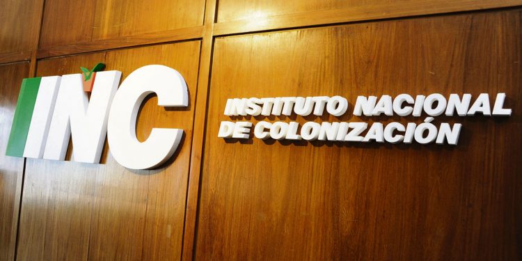 Próximo presidente de Colonización continuará con las políticas ya diseñadas