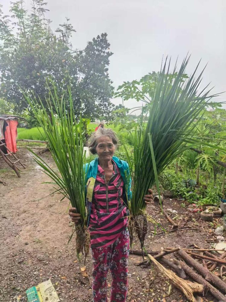 Visita a Nueva Écija, el corazón arrocero de Filipinas