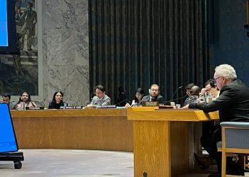 Lubetkin ante la ONU llamó a prevenir conflictos y reformar la arquitectura financiera internacional