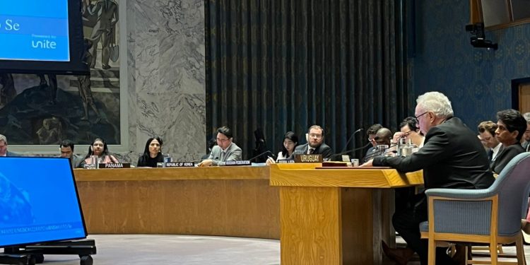 Lubetkin ante la ONU llamó a prevenir conflictos y reformar la arquitectura financiera internacional