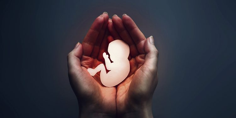 Aumentan abortos y piden “revisar la ley para hacerla menos restrictiva”