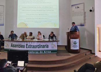 ACA propone la certificación de toda la cadena arrocera uruguaya para lograr un mejor diferencial