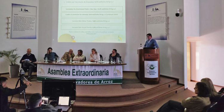 ACA propone la certificación de toda la cadena arrocera uruguaya para lograr un mejor diferencial