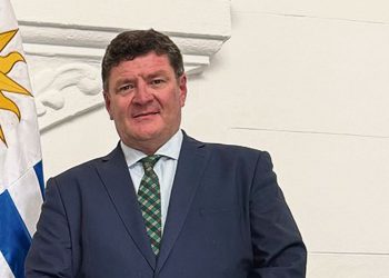 Sector arrocero: persisten los problemas estructurales de competitividad