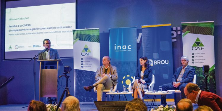 Presidente de CAF: “Es posible conciliar productividad y cuidado ambiental”