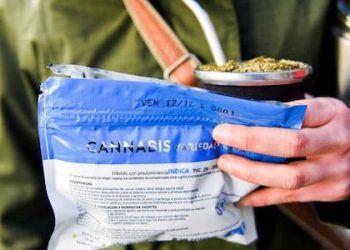 Uruguay en la cima del consumo de drogas: Manini reclama cambiar políticas