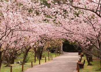 Uruguay, el drama y la comedia