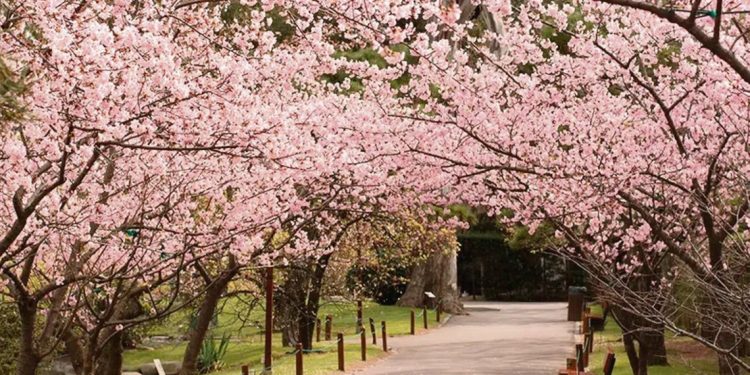 Uruguay, el drama y la comedia