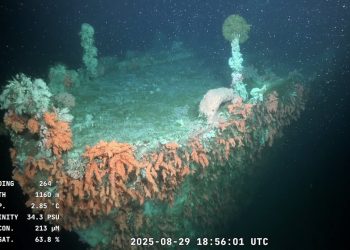 Expedición Sub200 localiza el naufragio del destructor ROU “Uruguay” (DE-1)