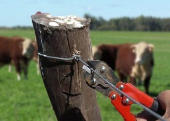 Productores reclaman acciones urgentes ante la inseguridad rural