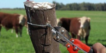 Productores reclaman acciones urgentes ante la inseguridad rural