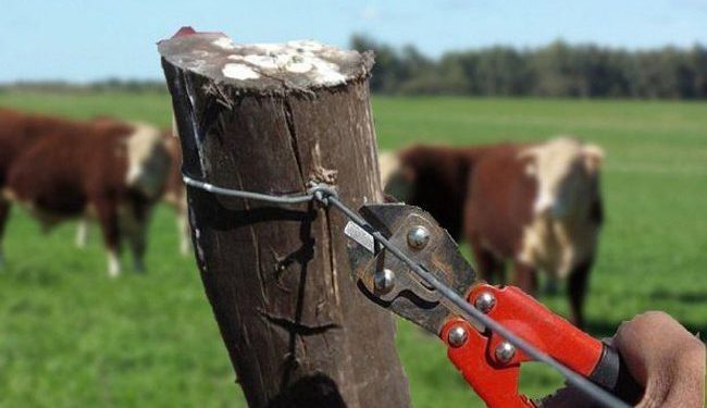 Productores reclaman acciones urgentes ante la inseguridad rural