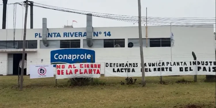 Industria láctea paralizada por paro nacional de 24 horas