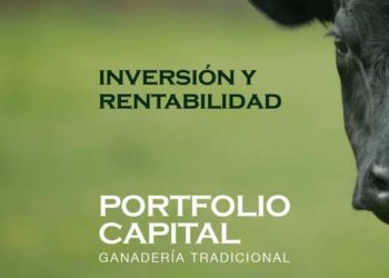 Alejandro Berrutti, la impunidad y la honradez como excepción