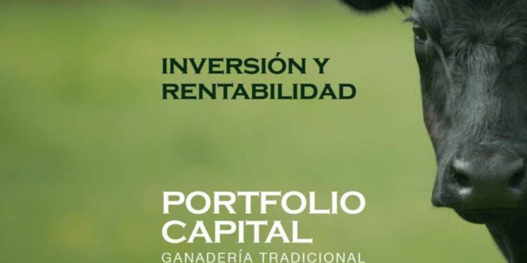 Alejandro Berrutti, la impunidad y la honradez como excepción