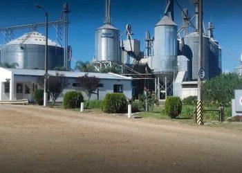 El costo país tiene un fuerte impacto sobre el sector arrocero