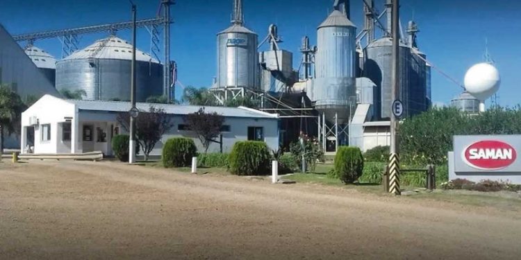 El costo país tiene un fuerte impacto sobre el sector arrocero