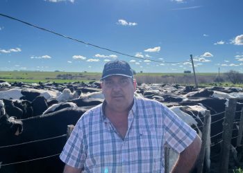 En la raza Holando, cabañeros y productores tienen los mismos objetivos