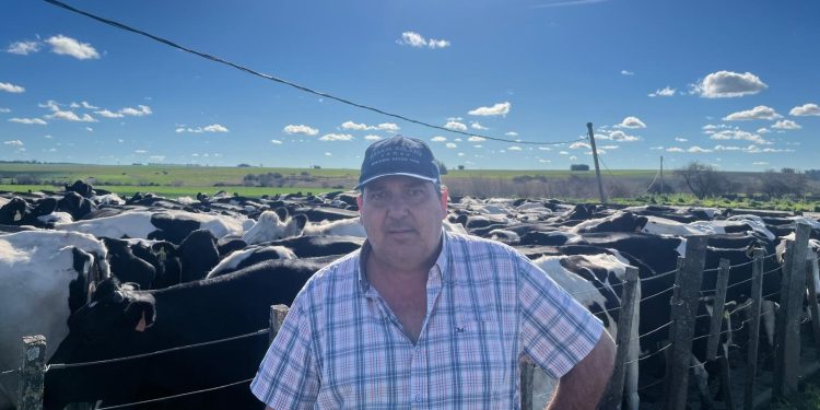 En la raza Holando, cabañeros y productores tienen los mismos objetivos