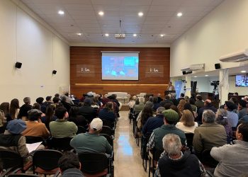 Productores, ciencia e instituciones apuestan a un modelo ovino innovador y competitivo