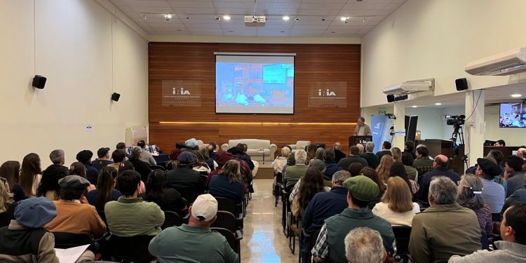 Productores, ciencia e instituciones apuestan a un modelo ovino innovador y competitivo