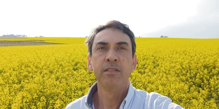 En el centro sur del país se esperan buenos resultados de los cultivos de invierno