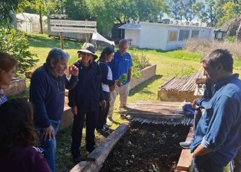 Presidente de ALU: “La lombriz es al suelo, lo que la abeja a la polinización”