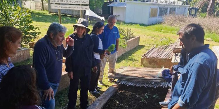 Presidente de ALU: “La lombriz es al suelo, lo que la abeja a la polinización”