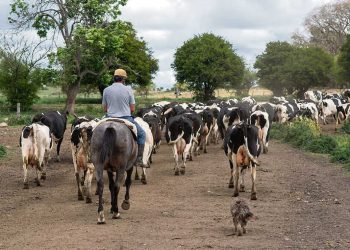 Economistas alertan sobre bajo crecimiento del país y un atraso cambiario que se acentúa