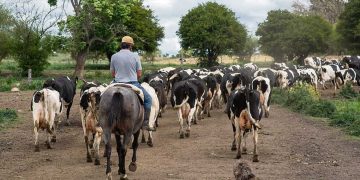 Economistas alertan sobre bajo crecimiento del país y un atraso cambiario que se acentúa