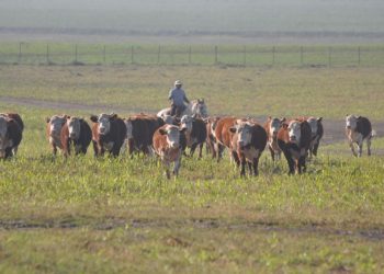 Cooperativa de productores Progan reduce las emisiones y fortalece la productividad