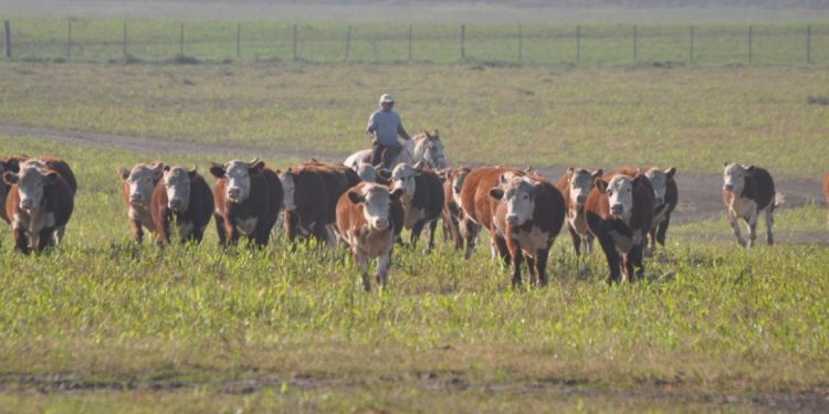 Cooperativa de productores Progan reduce las emisiones y fortalece la productividad