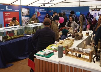 Expo Prado 2025: la sinfonía perfecta entre tradición e innovación