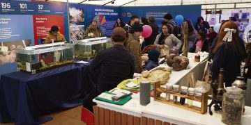 Expo Prado 2025: la sinfonía perfecta entre tradición e innovación