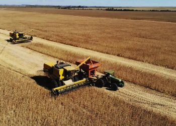 Mercosur-UE: la oportunidad agropecuaria del siglo XXI