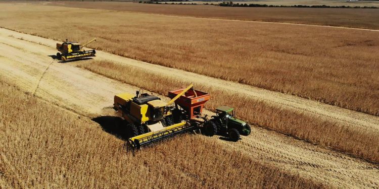 Mercosur-UE: la oportunidad agropecuaria del siglo XXI
