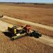Mercosur-UE: la oportunidad agropecuaria del siglo XXI