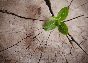 Crisis: ¿el fin de lo viejo y el comienzo de lo nuevo?