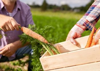 Los microemprendimientos rurales son “un rescate cultural”