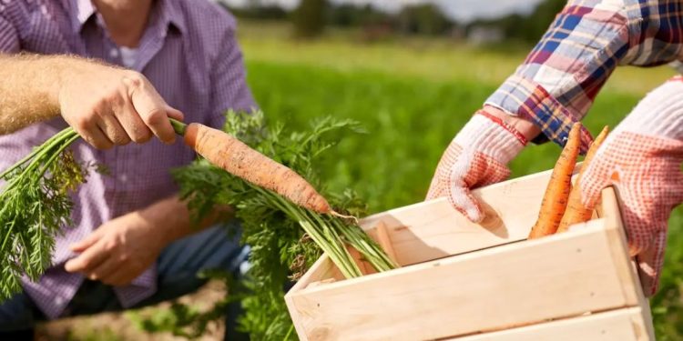 Los microemprendimientos rurales son “un rescate cultural”
