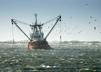 ¿En la pesca se marca el camino?