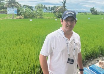 Con sus números “crueles”, la clave está en mejorar la producción de maíz y soja