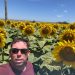La falta de interés en la soja es oportuna para el fortalecimiento del girasol