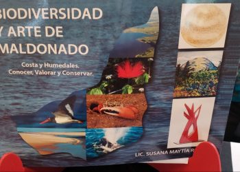 Susana Maytía: “El concepto de cultura suele relegar a la ciencia”