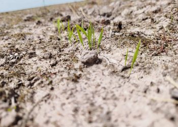 “Para los productores que riegan con represas, va a ser un año complejo”