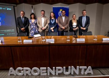 Factor Clave: el Agro como impulsor del crecimiento económico regional