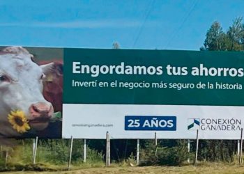 Conexión Ganadera los laberintos de una tragedia financiera