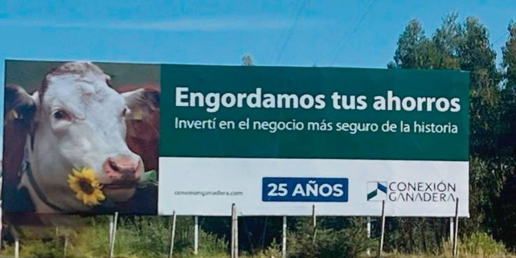 Conexión Ganadera los laberintos de una tragedia financiera