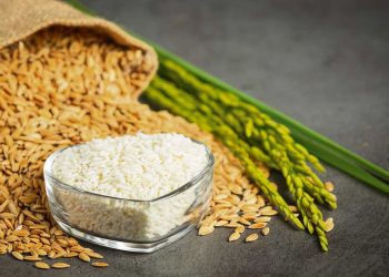 El arroz es un elemento fundamental en la dieta de millones de personas de todo el mundo